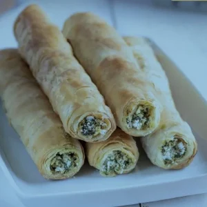 borek kebab poulet sauce tzatziki